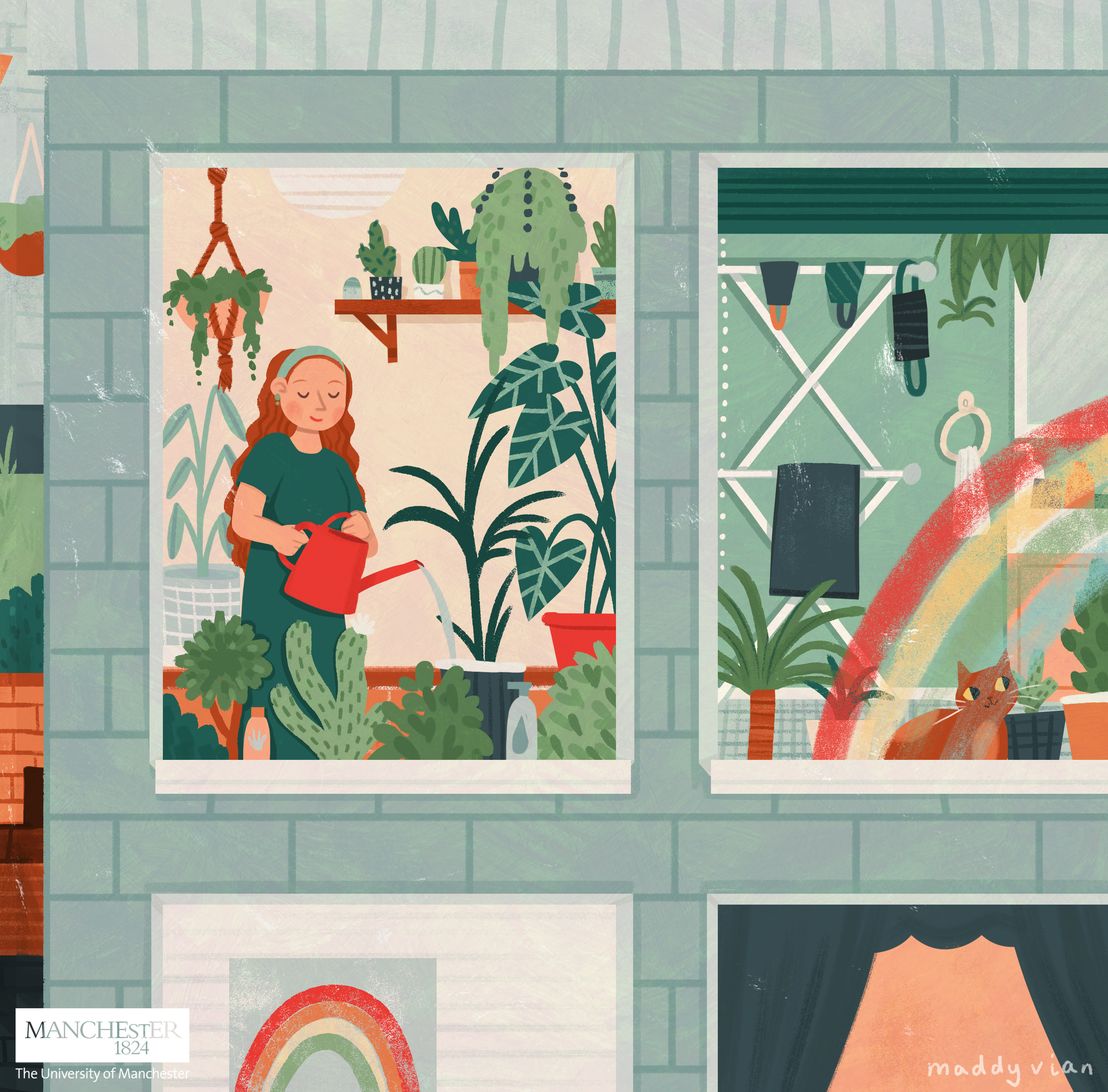 Water and wellbeing: Watering plants in an apartment window